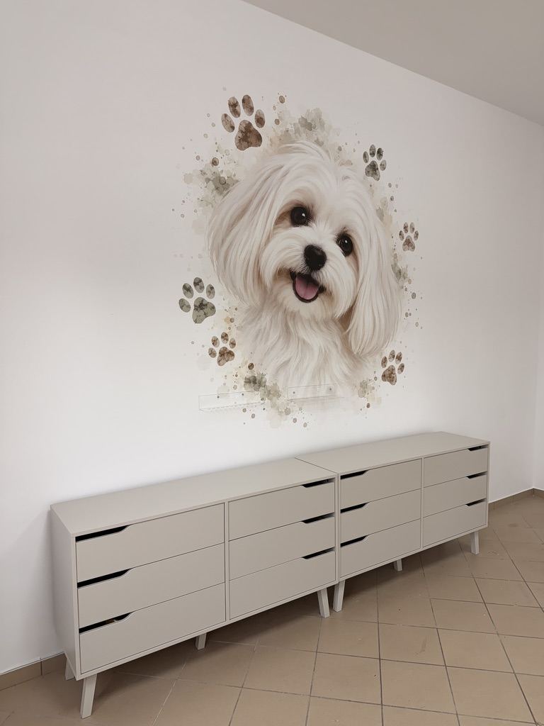 Efekt druku ściennego UV WallPen – portret psa nad komodą w salonie groomerskim w Gryfinie